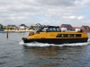 harbor bus