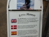 little mermaid story