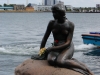 little mermaid