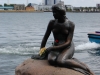 little mermaid2