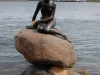 little mermaid6