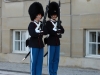 Royal guards