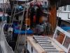 sailboat shipmate