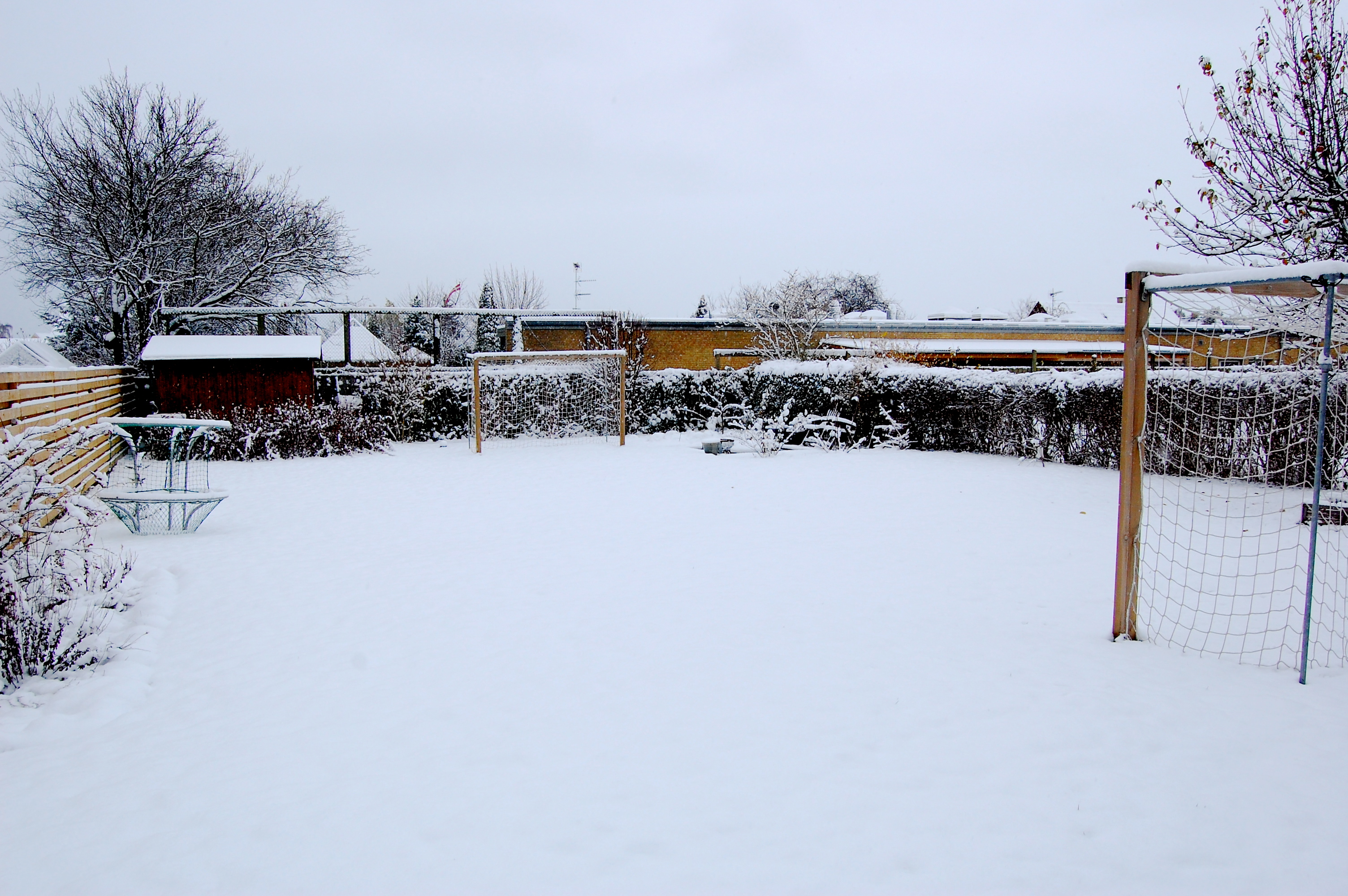 snowday_backyard