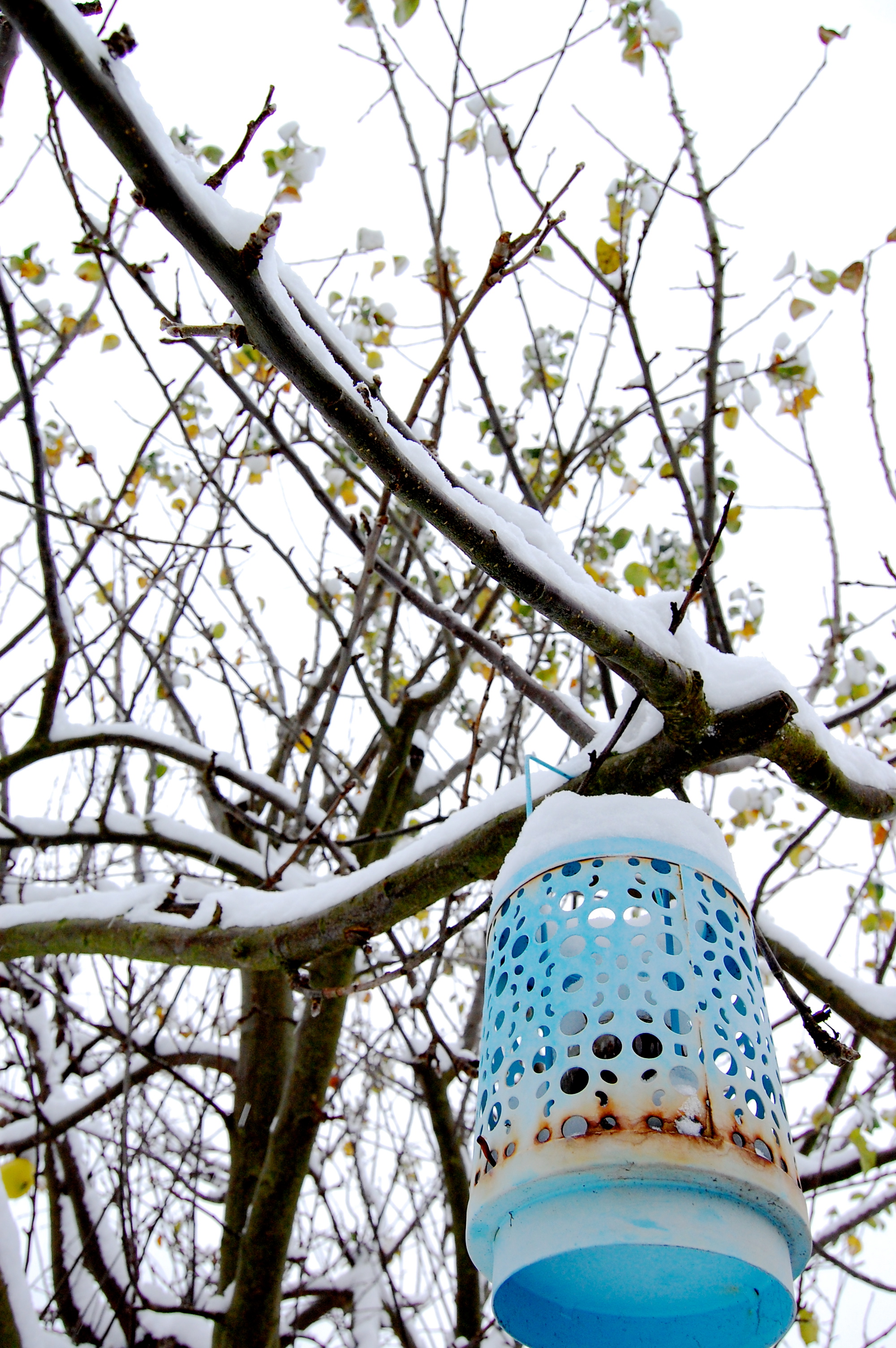 snowday_tree2