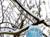 snowday_tree2