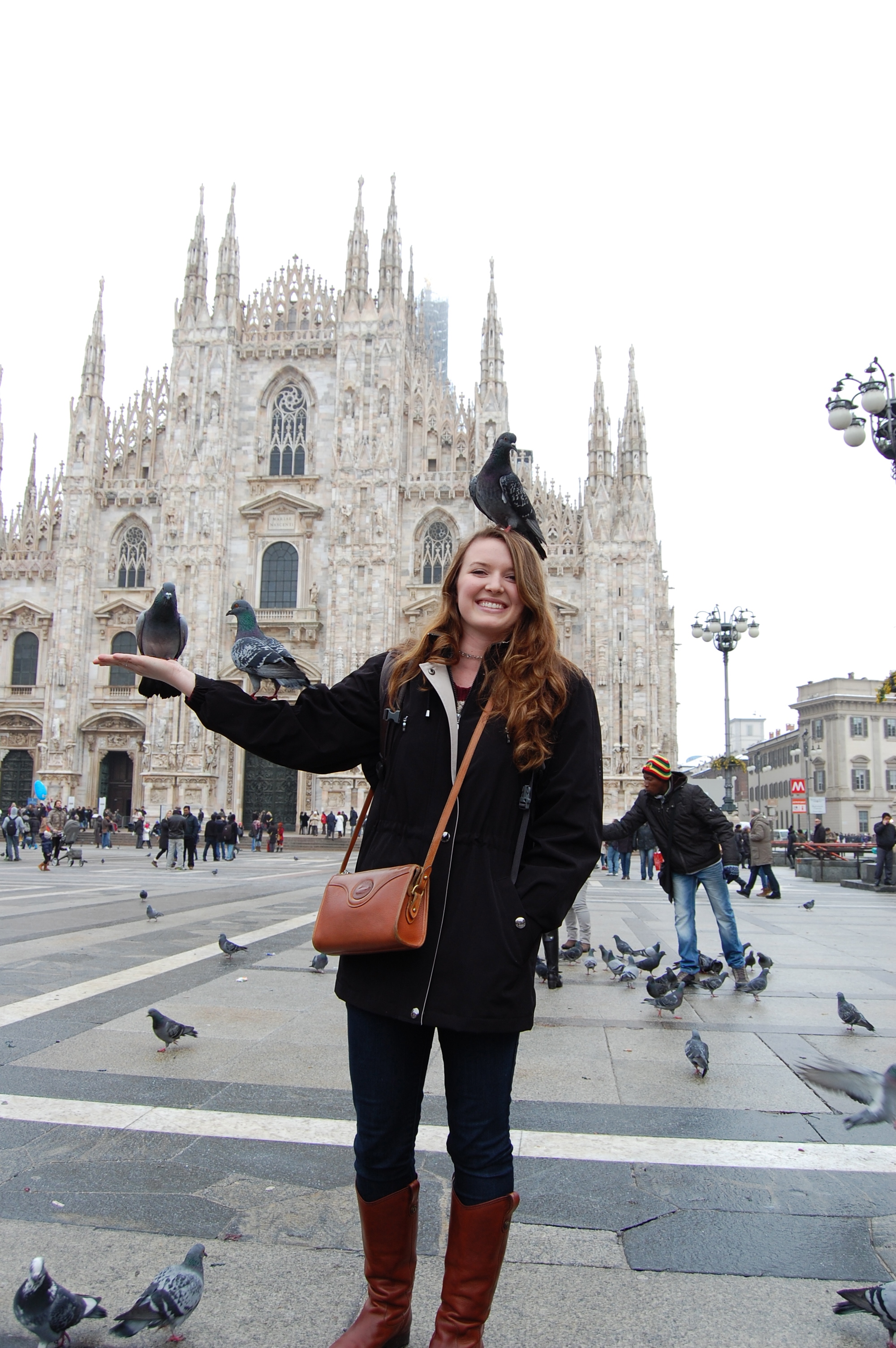 pigeons at the duomo